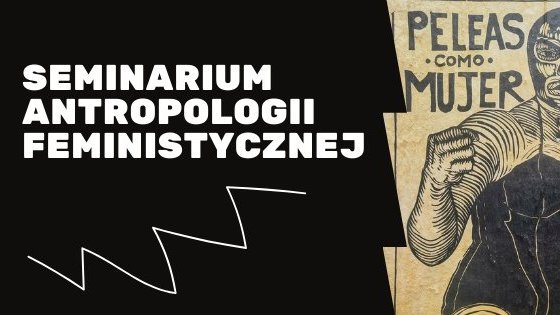 Logo Seminarium Antropologii Feministycznej