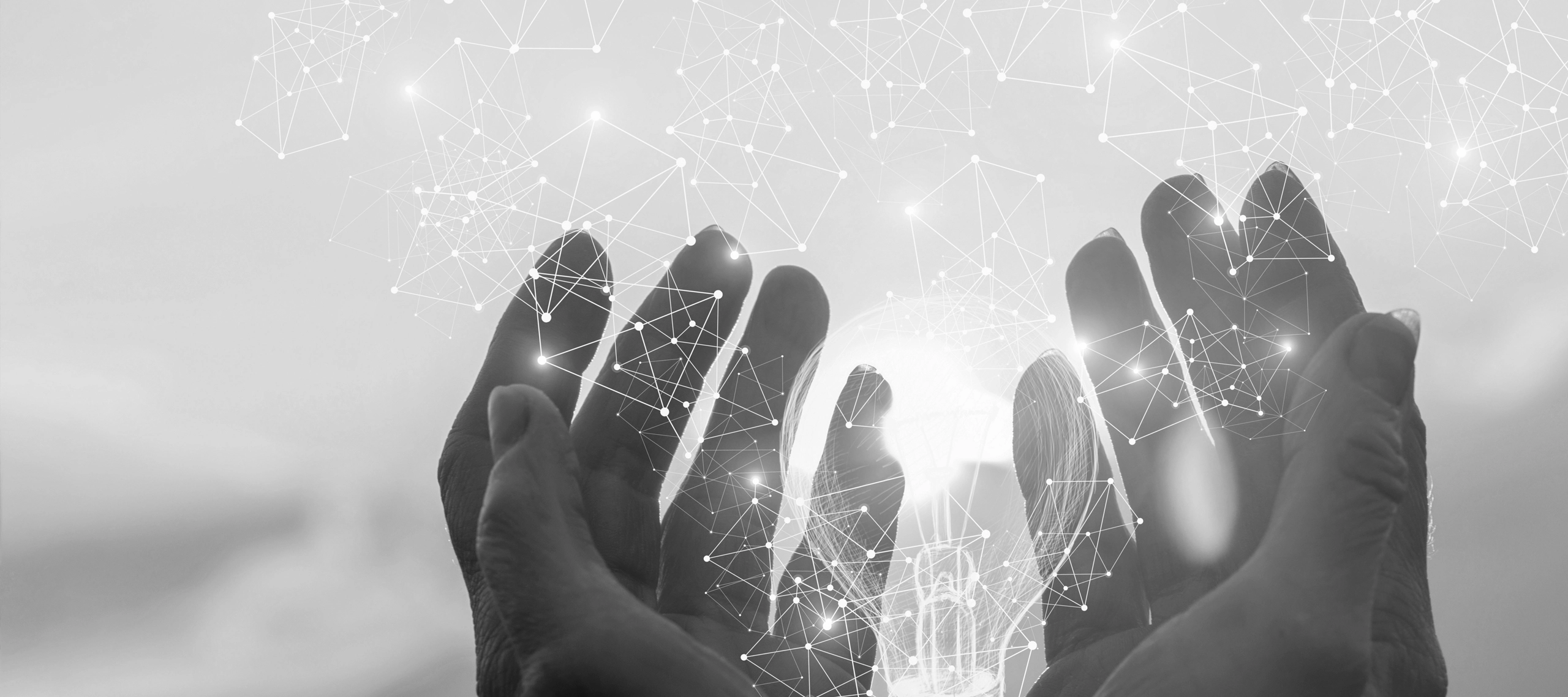 Zdjęcie nagłówkowe